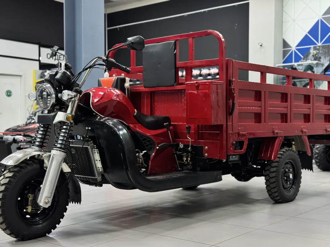 Трицикл PROMAX FERMER 300 (TITAN)